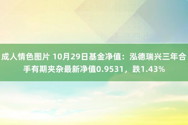 成人情色图片 10月29日基金净值：泓德瑞兴三年合手有期夹杂最新净值0.9531，跌1.43%