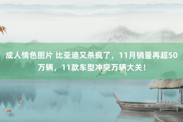 成人情色图片 比亚迪又杀疯了，11月销量再超50万辆，11款车型冲突万辆大关！