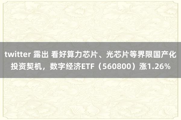 twitter 露出 看好算力芯片、光芯片等界限国产化投资契机，数字经济ETF（560800）涨1.26%