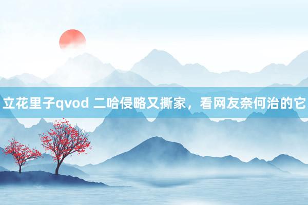 立花里子qvod 二哈侵略又撕家，看网友奈何治的它